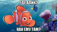 где алик? как ему там?