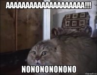 aaaaaaaaaaaaaaaaaaaa!!! nononononono