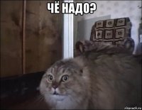 чё надо? 
