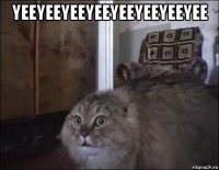 yeeyeeyeeyeeyeeyeeyeeyee 