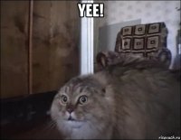 yee! 