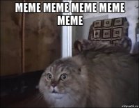 meme meme meme meme meme 