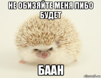 не обизяйте меня либо будет баан