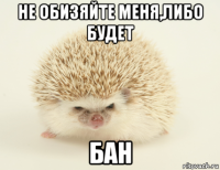 не обизяйте меня,либо будет бан