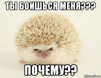 ты боишься меня??? почему??