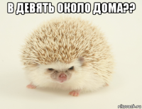 в девять около дома?? 