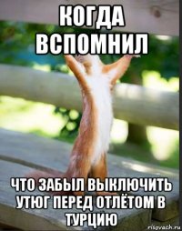 когда вспомнил что забыл выключить утюг перед отлётом в турцию