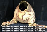  крышечка крышечка крышечка крышечка крышечка крышечка крышечка крышечка крышечка крышечка крышечка крышечка крышечка крышечка крышечка