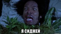  я сиджей