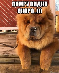 помру видно скоро..))) 