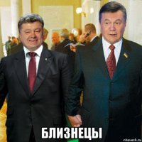  близнецы