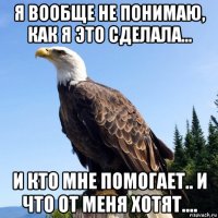 я вообще не понимаю, как я это сделала... и кто мне помогает.. и что от меня хотят....