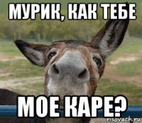 мурик, как тебе мое каре?
