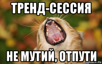 тренд-сессия не мутий, отпути
