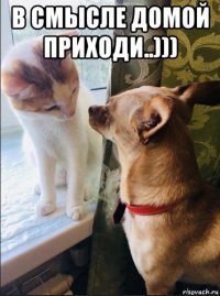 в смысле домой приходи..))) 