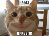 галя привет!!!
