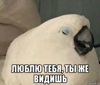  люблю тебя, ты же видишь