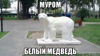 муром белый медведь