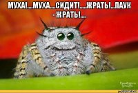 муха!....муха....сидит!.....жрать!...паук - жрать!.... 