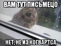 вам тут письмецо нет, не из хогвартса