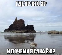 где я? кто я? и почему я сука ёж?