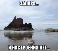 запара... и настроения нет...