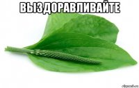 выздоравливайте 