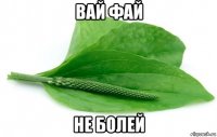 вай фай не болей