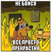 не бойся все просто прекрастно