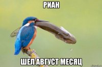 риан шел август месяц