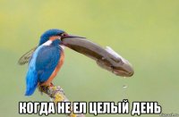  когда не ел целый день