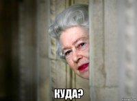  куда?