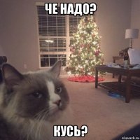 че надо? кусь?