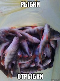 рыбки отрыбки