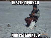 жрать приехал или рыбачить?