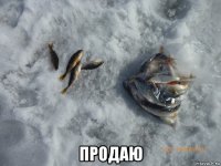  продаю