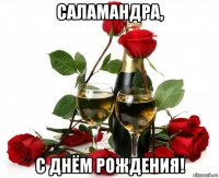 саламандра, с днём рождения!