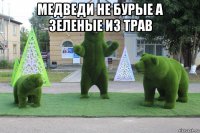 медведи не бурые а зеленые из трав 