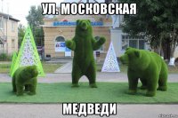 ул. московская медведи