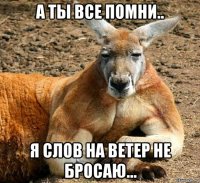 а ты все помни.. я слов на ветер не бросаю...