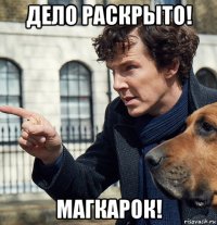 дело раскрыто! магкарок!