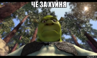 чё за хуйня 