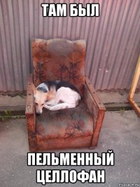 там был пельменный целлофан