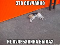 это случайно не кулебякина была?