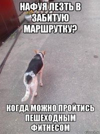 нафуя лезть в забитую маршрутку? когда можно пройтись пешеходным фитнесом