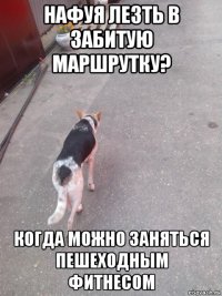 нафуя лезть в забитую маршрутку? когда можно заняться пешеходным фитнесом