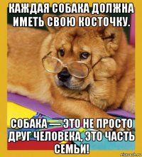 каждая собака должна иметь свою косточку. собака — это не просто друг человека, это часть семьи!