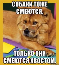 собаки тоже смеются, только они смеются хвостом.