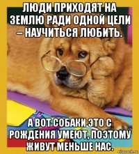 люди приходят на землю ради одной цели – научиться любить. а вот собаки это с рождения умеют, поэтому живут меньше нас.