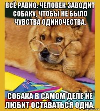 всё равно: человек заводит собаку, чтобы не было чувства одиночества. собака в самом деле не любит оставаться одна.
